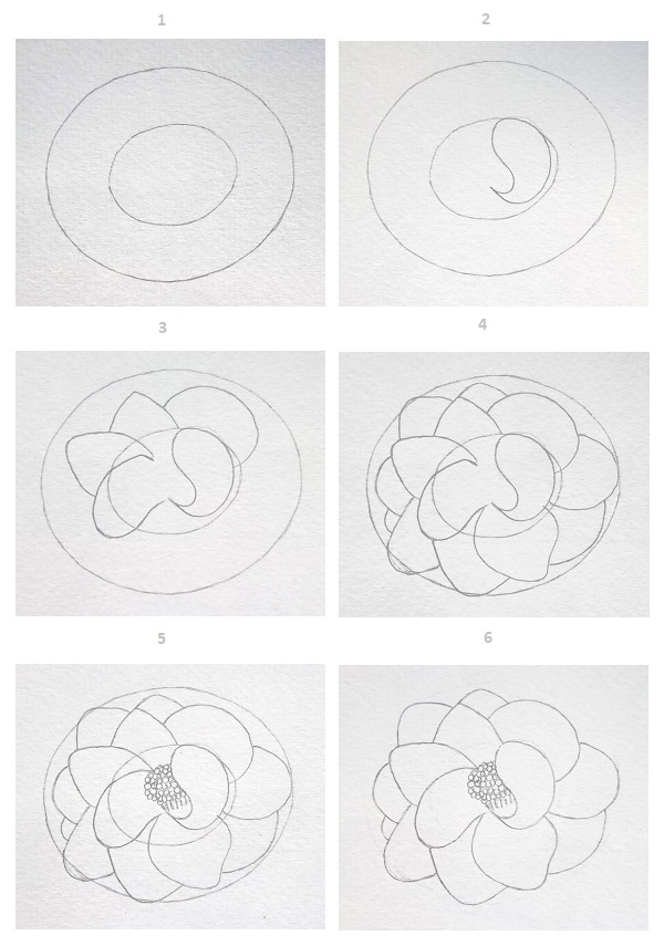 Easy drawing for beginners - How to draw camellias - Image 1
