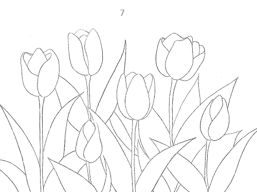 Tải ngay 20 mẫu tranh tô màu hoa Tulip nở siêu đẹp cho bé